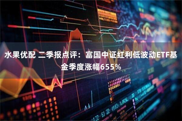 水果优配 二季报点评：富国中证红利低波动ETF基金季度涨幅655%