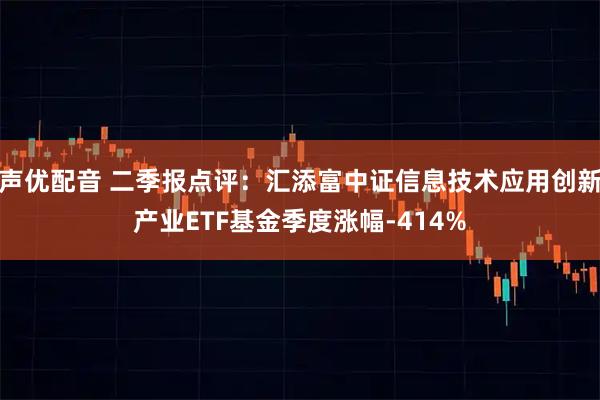声优配音 二季报点评：汇添富中证信息技术应用创新产业ETF基金季度涨幅-414%