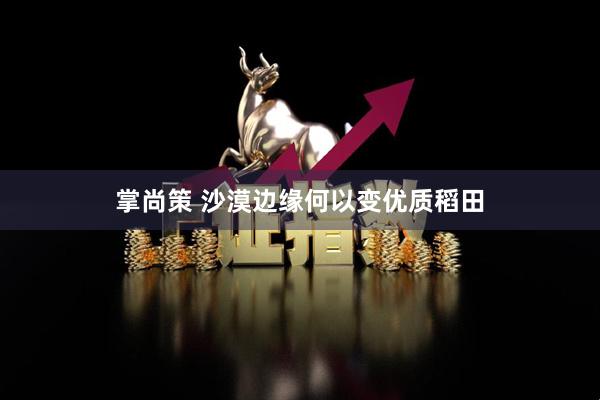 掌尚策 沙漠边缘何以变优质稻田
